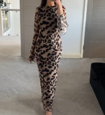Seam detail mesh maxi dress in fierce leopard