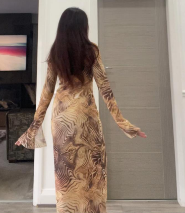 Mesh flared sleeve maxi dress in abstract animal