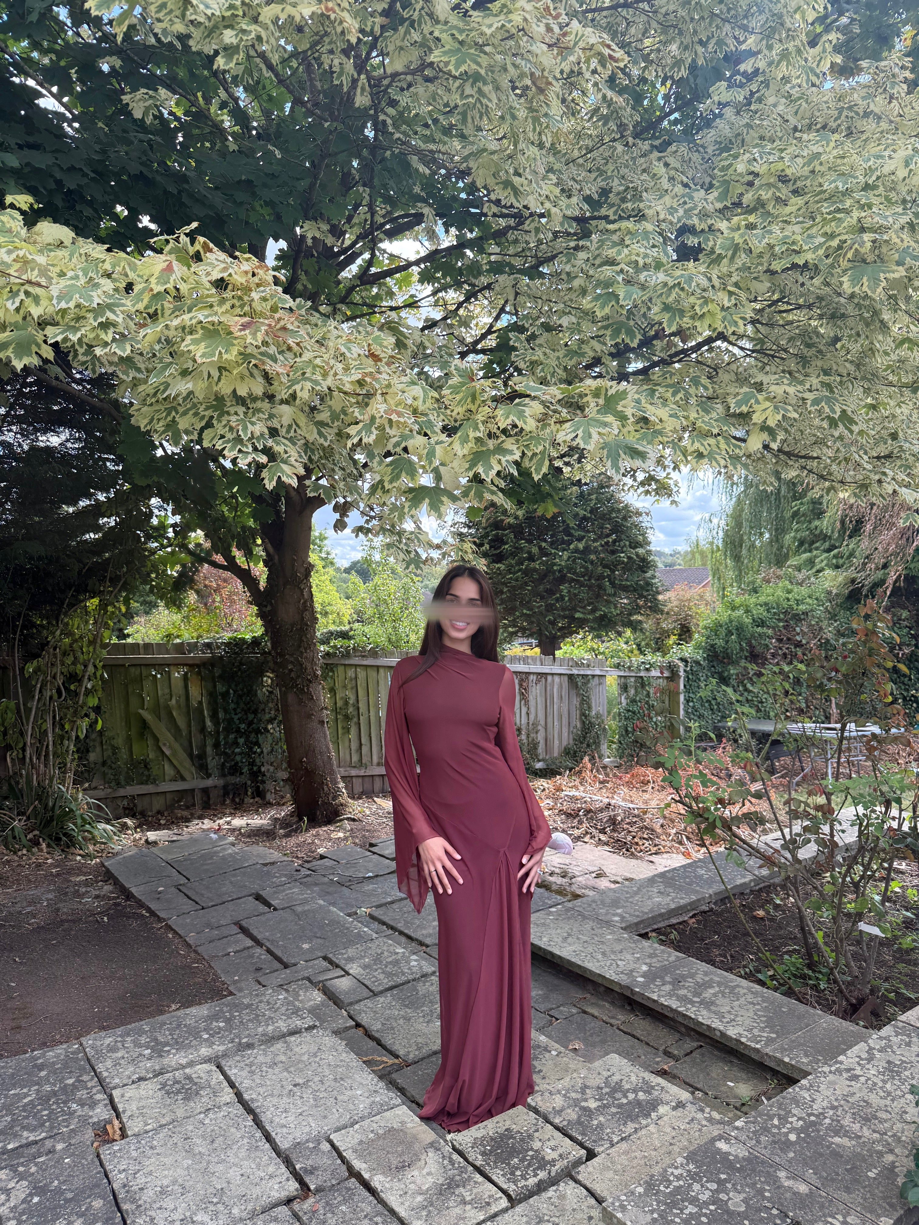 Princess seam mesh maxi dress in plum